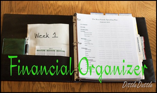 Financial Organized Notebook