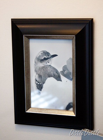 [Black-and-white-framed-bird[2].jpg]