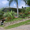 SunCampDR-Ba.jpg