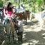 Horseback Riding