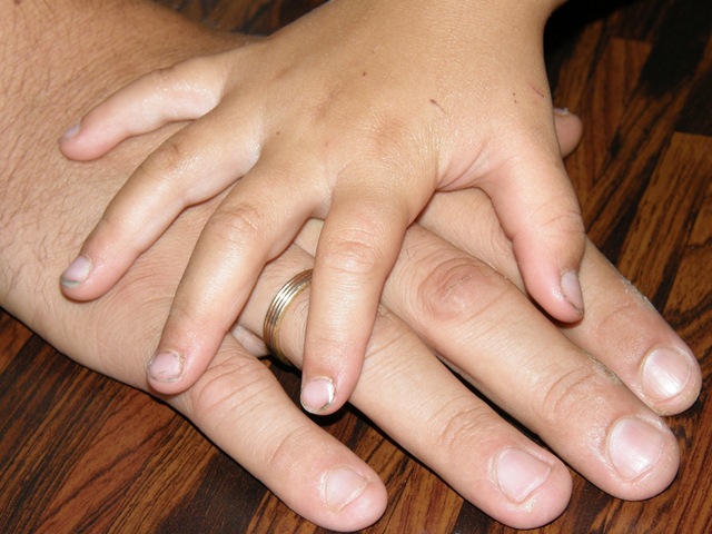 [P8140053[2].jpg]