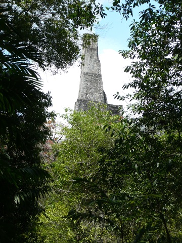 [Tikal[4].jpg]