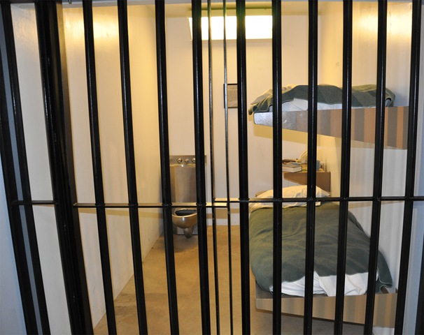 [Cell[5].jpg]