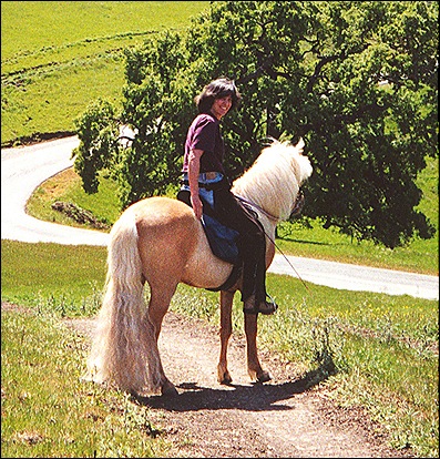 icehorse4