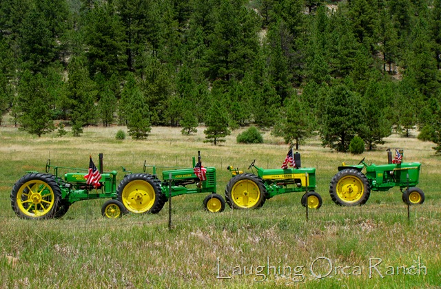 [IMG_7897[18].jpg]