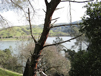 IMG_3699.JPG Photo