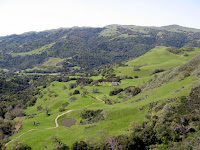 IMG_3870.JPG