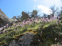 IMG_3985.JPG