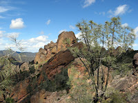 IMG_3986.JPG Photo