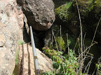 IMG_4004.JPG Photo