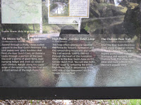 IMG_4025.JPG Photo
