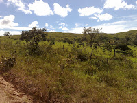 030420102287.jpg Photo