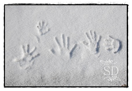 SnowHandPrints SnowHandPrints