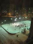 the hockey rink