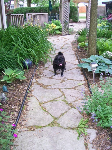 [Spring Harry[6].jpg]