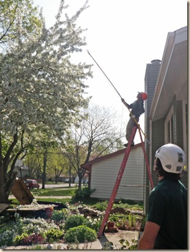 Tree Pruning