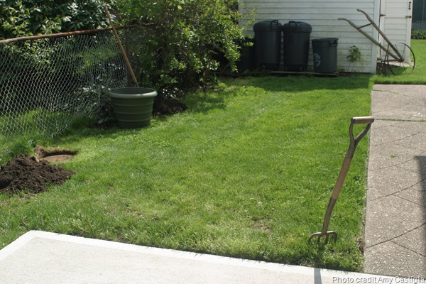 [Amy Castiglias Before Garden[7].jpg]