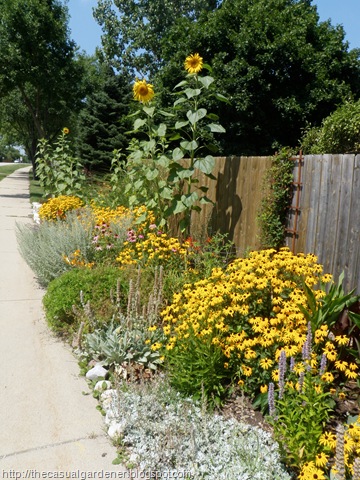 [SidewalkView20097.jpg]