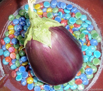 Eggplant from Shawna's garden 