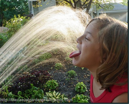Water Spray and Shawna's girl in the garden         
