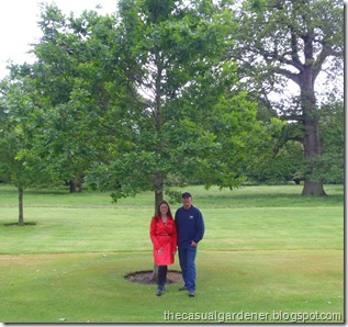 Shawna and Robert Norris standing in front of the oak tree which President Clinton planted on his visit to Ireland.      