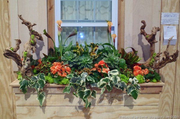 [Chicago Flower and Garden Show Window Box[9].jpg]