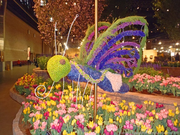 [Philly Tulips[7].jpg]