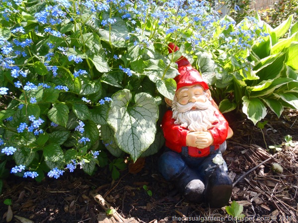 [1 Ralph Gnome[9].jpg]