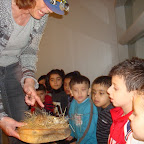 Groep 1b Museon