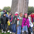 Groep 3a in het bos
