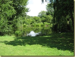 IMG_0767 IMG_0767