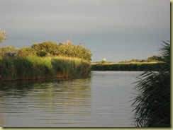 IMG_1016 IMG_1016