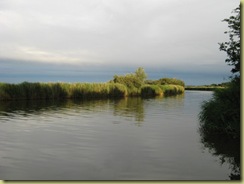 IMG_1013 IMG_1013