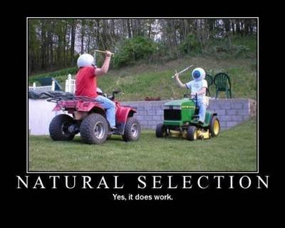 funny motivational wallpapers funny motivational. funny motivational wallpapers