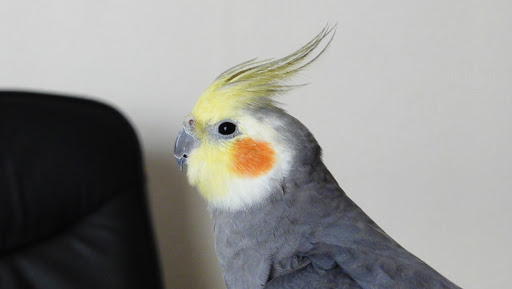 http://lh4.ggpht.com/_bkm4RiKQd9g/TFRBjMyX32I/AAAAAAAAAWI/YhXDHvOB-NM/DSC01567.JPG