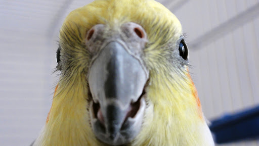 http://lh4.ggpht.com/_bkm4RiKQd9g/TFRKFgvFpqI/AAAAAAAAAXA/TjDxhiq-L0U/DSC01698.jpg