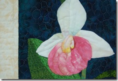 showyladyslipper_detail