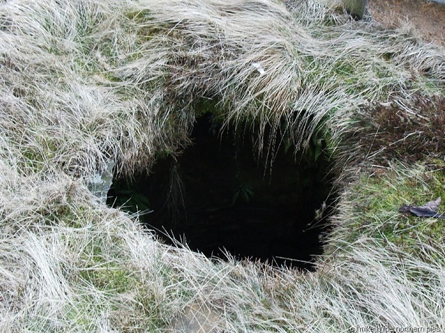 [stainforth0235.jpg]