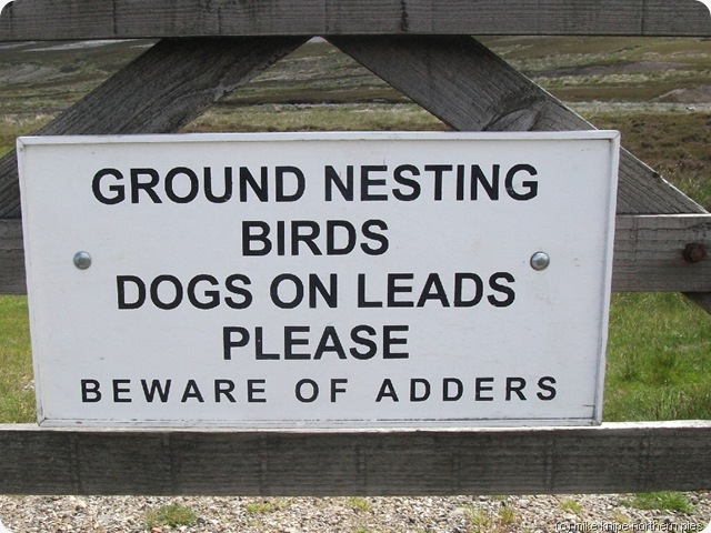 the sign next to it says "no dogs" the sign next to it says "no dogs"