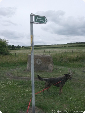 ring a ring a footpath sign