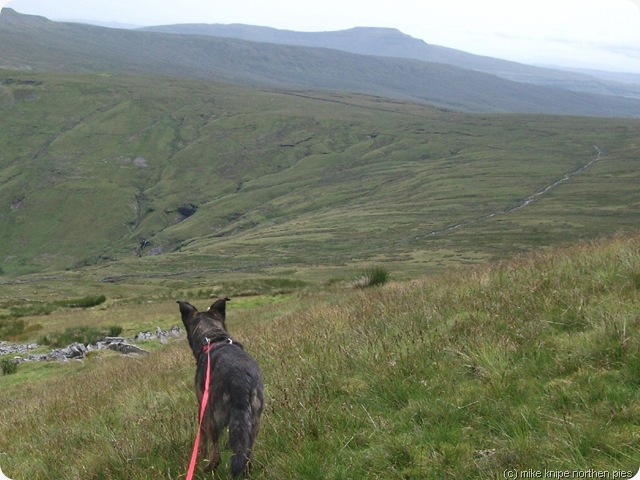 occy road and ingleborough