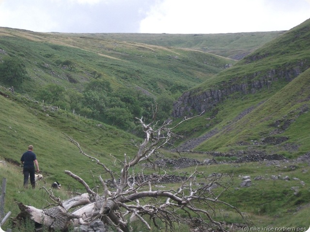 dowber gill