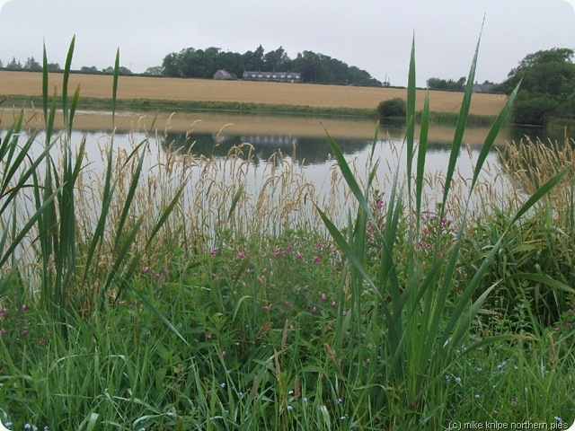 hoselaw loch