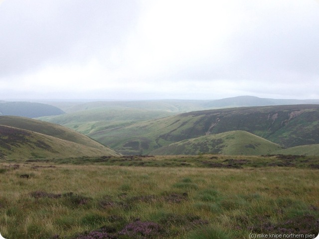 cheviot hills