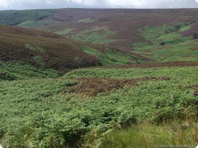 spot the bridleway 1 spot the bridleway 1