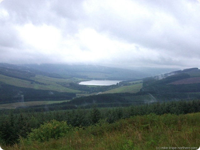 catcleugh from the pw catcleugh from the pw