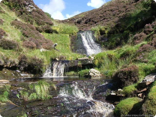 upper swinner gill