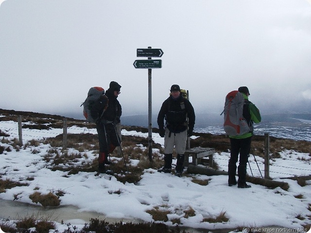 moffpeeb 008 moffpeeb 008