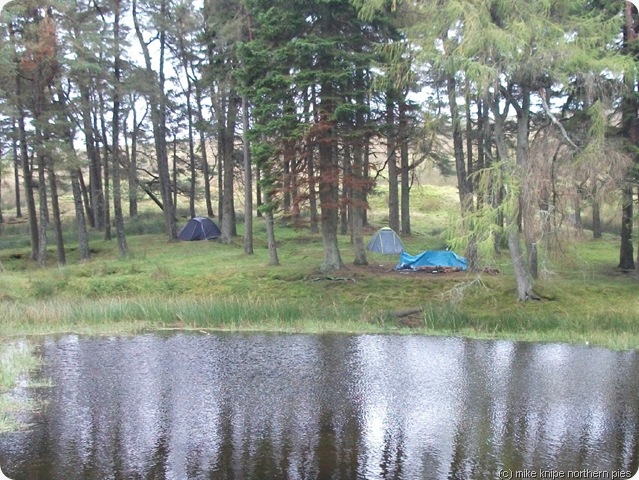 campers campers