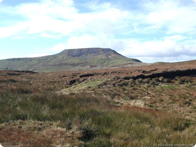 ingleborough from simon fell